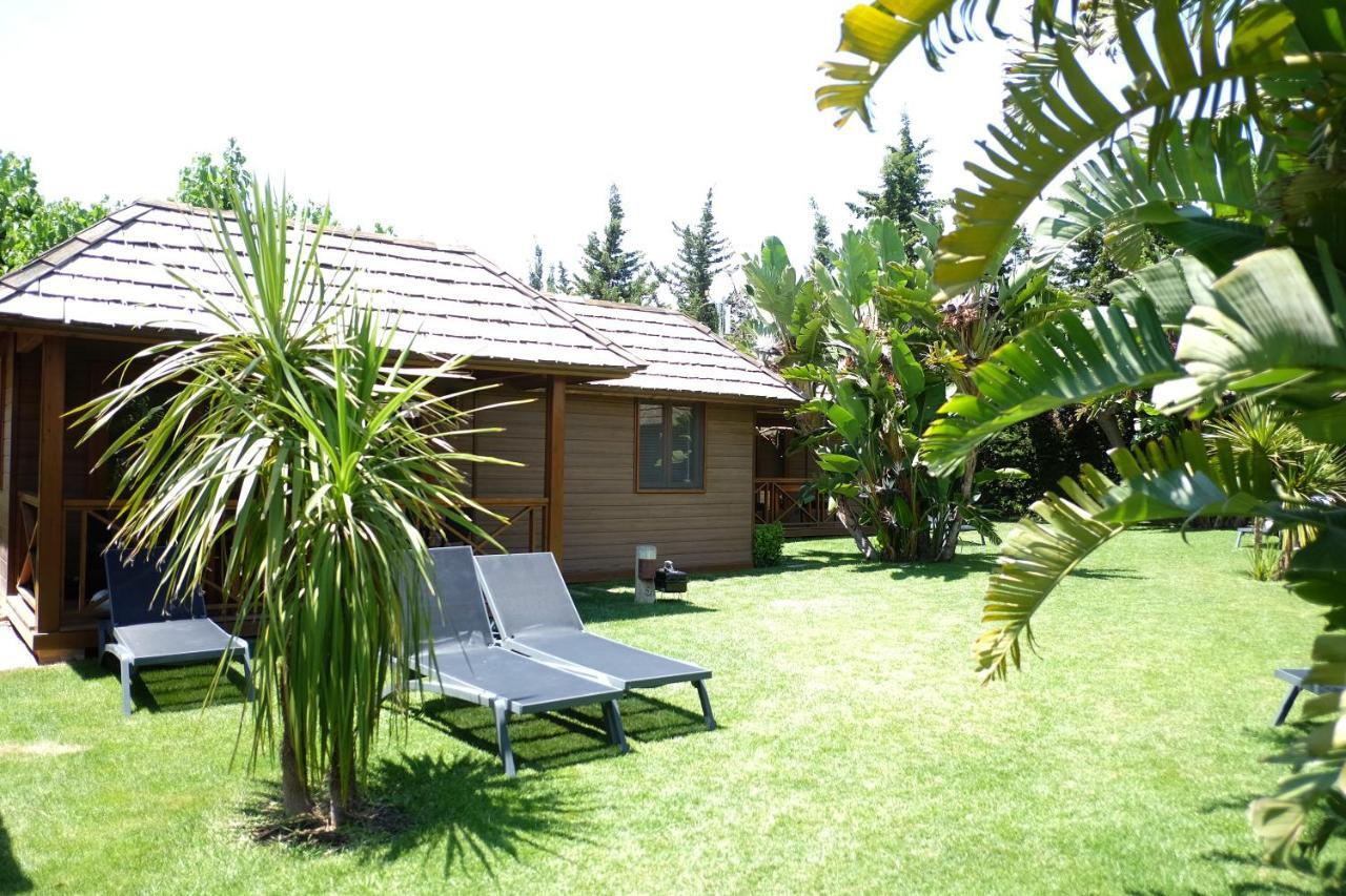 Playa Montroig Camping Resort Экстерьер фото